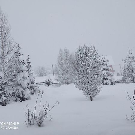 Sunnyside Villa Žabljak Esterno foto