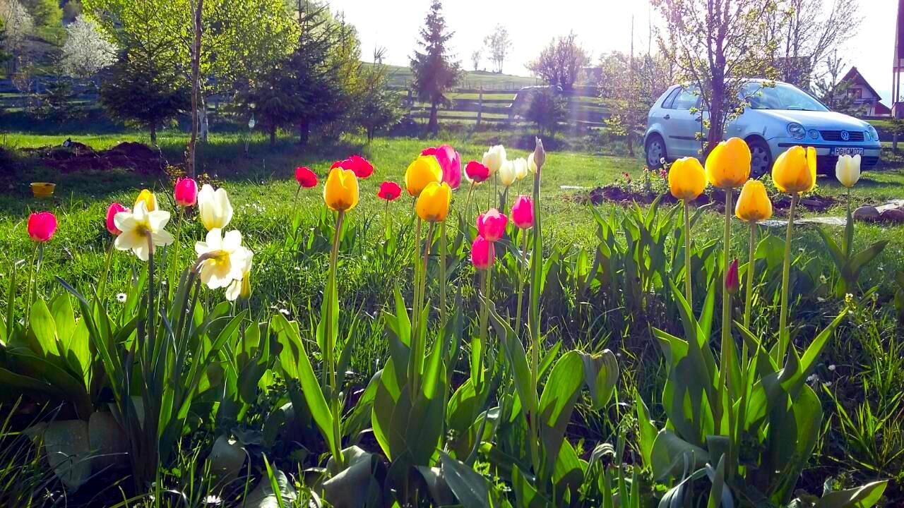 Sunnyside Villa Žabljak Esterno foto